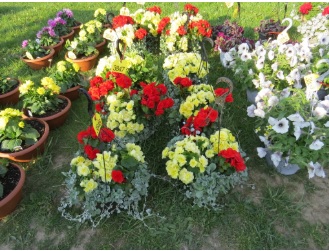 Ring 2 Fraley's Annual Lawn & Garden Event