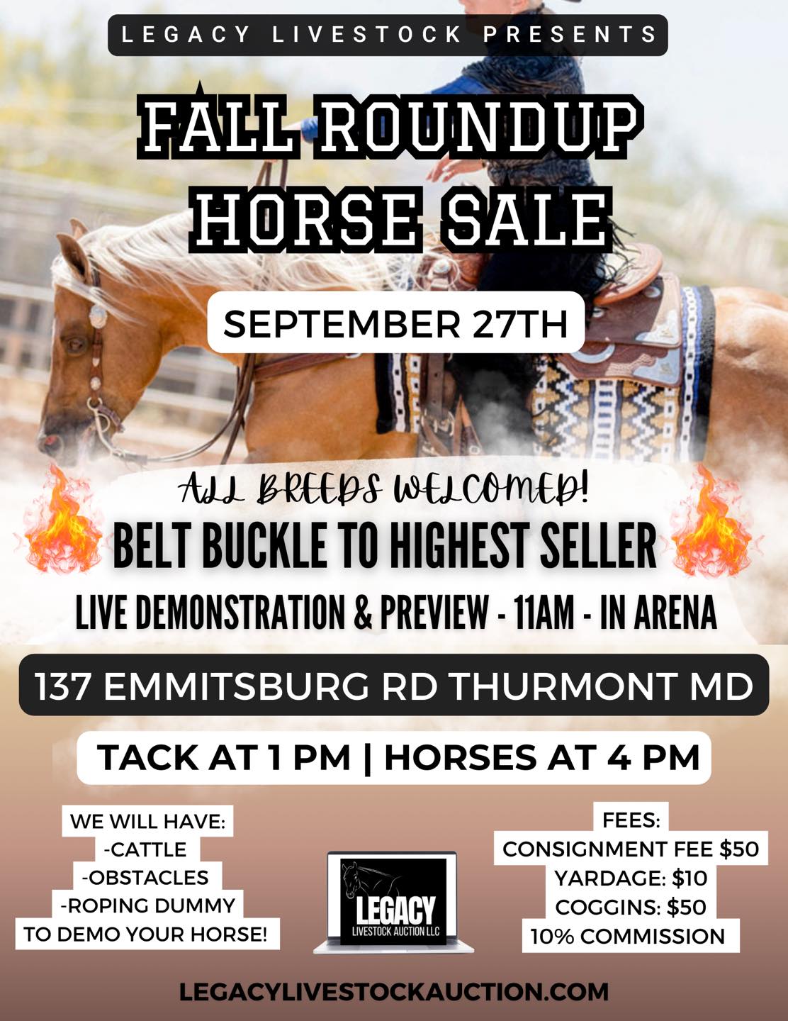 Fall Roundup Horse Sale