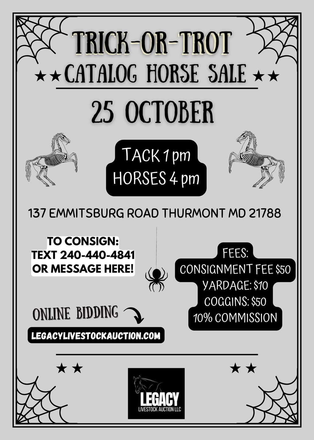 Trick or Trot Catalog Horse Sale