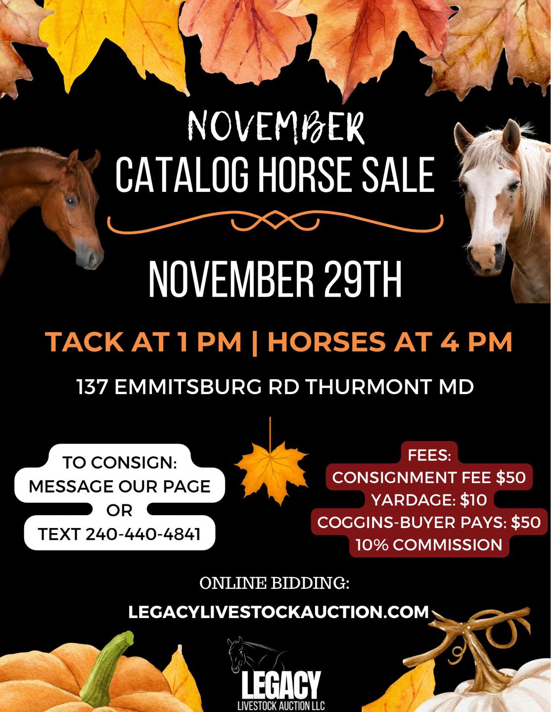 November Catalog Horse Sale