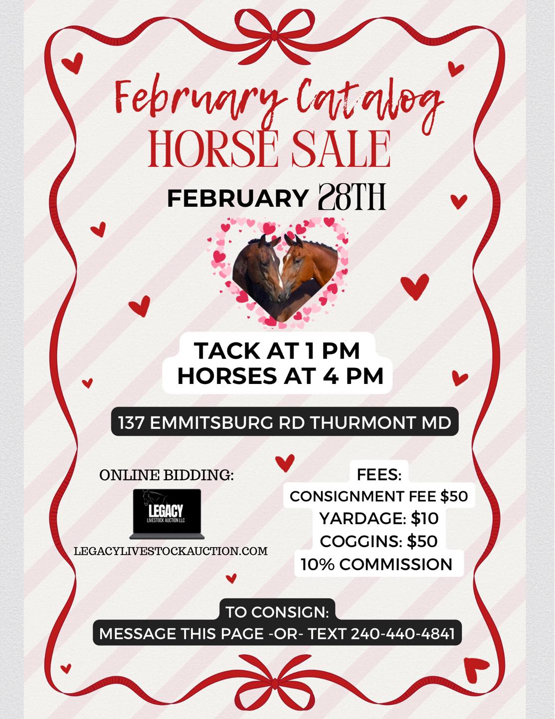 February Catalog Horse Sale