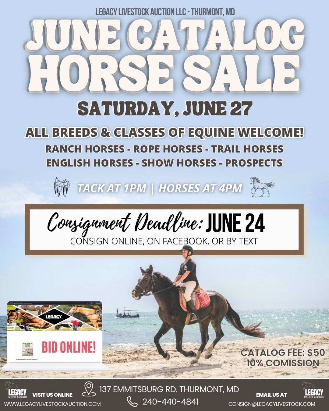 June Horse Sale