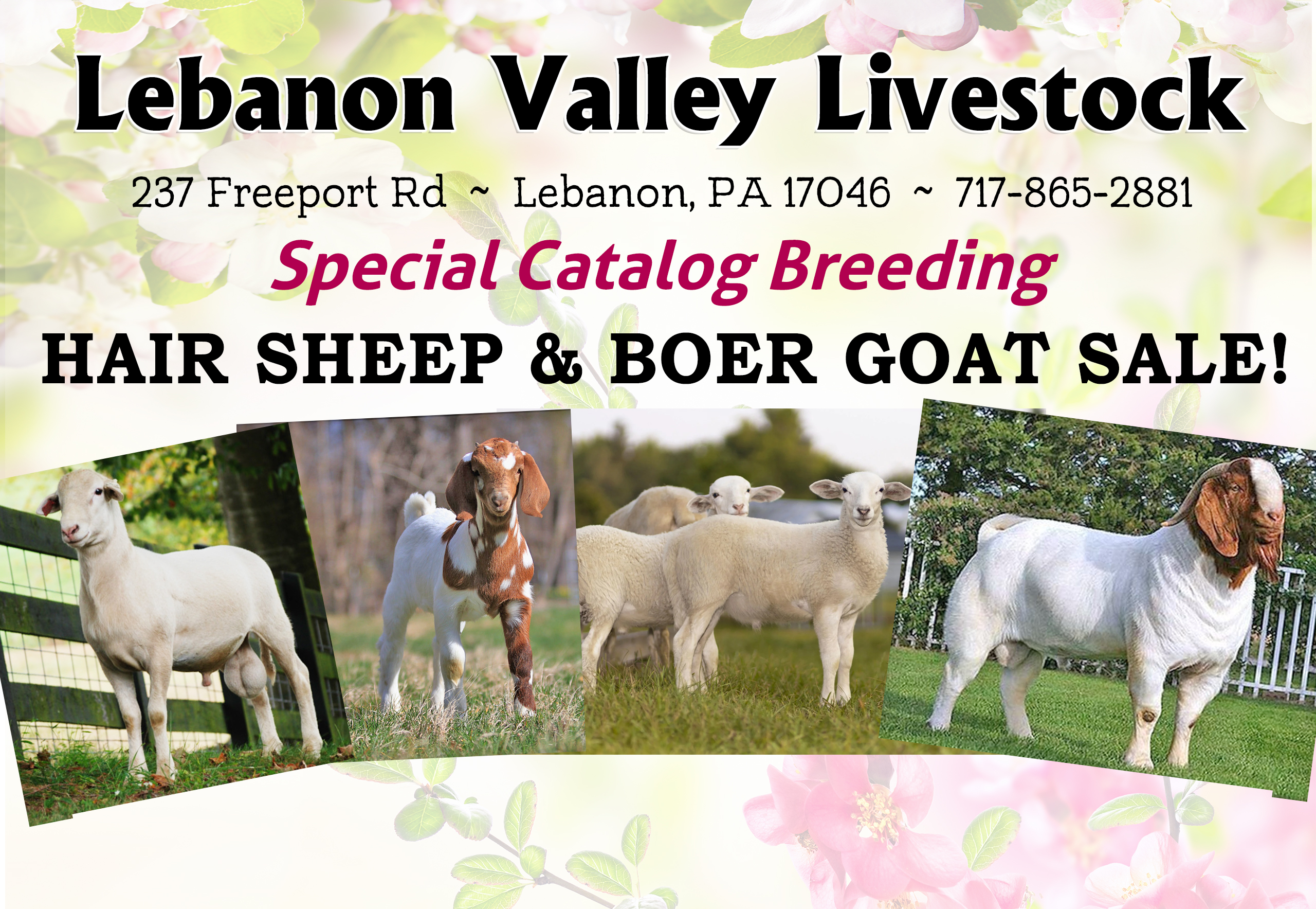 Special Sheep & Goat Catalog Sale