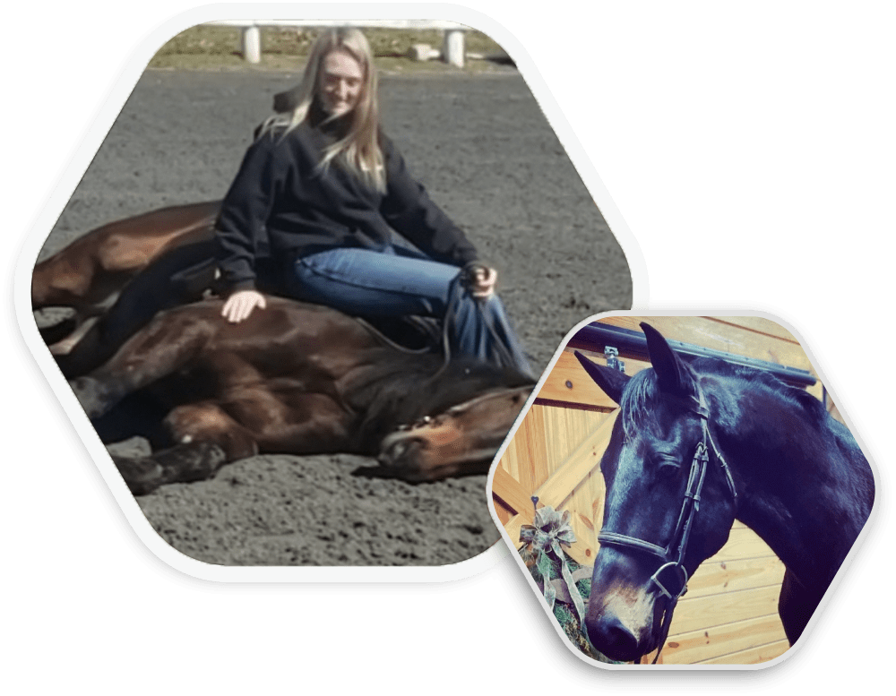 April Monthly Horse Sale