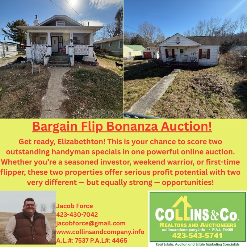 Bargain Flip Bonanza Online Auction