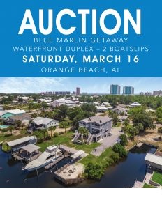 Test Real Estate Auction