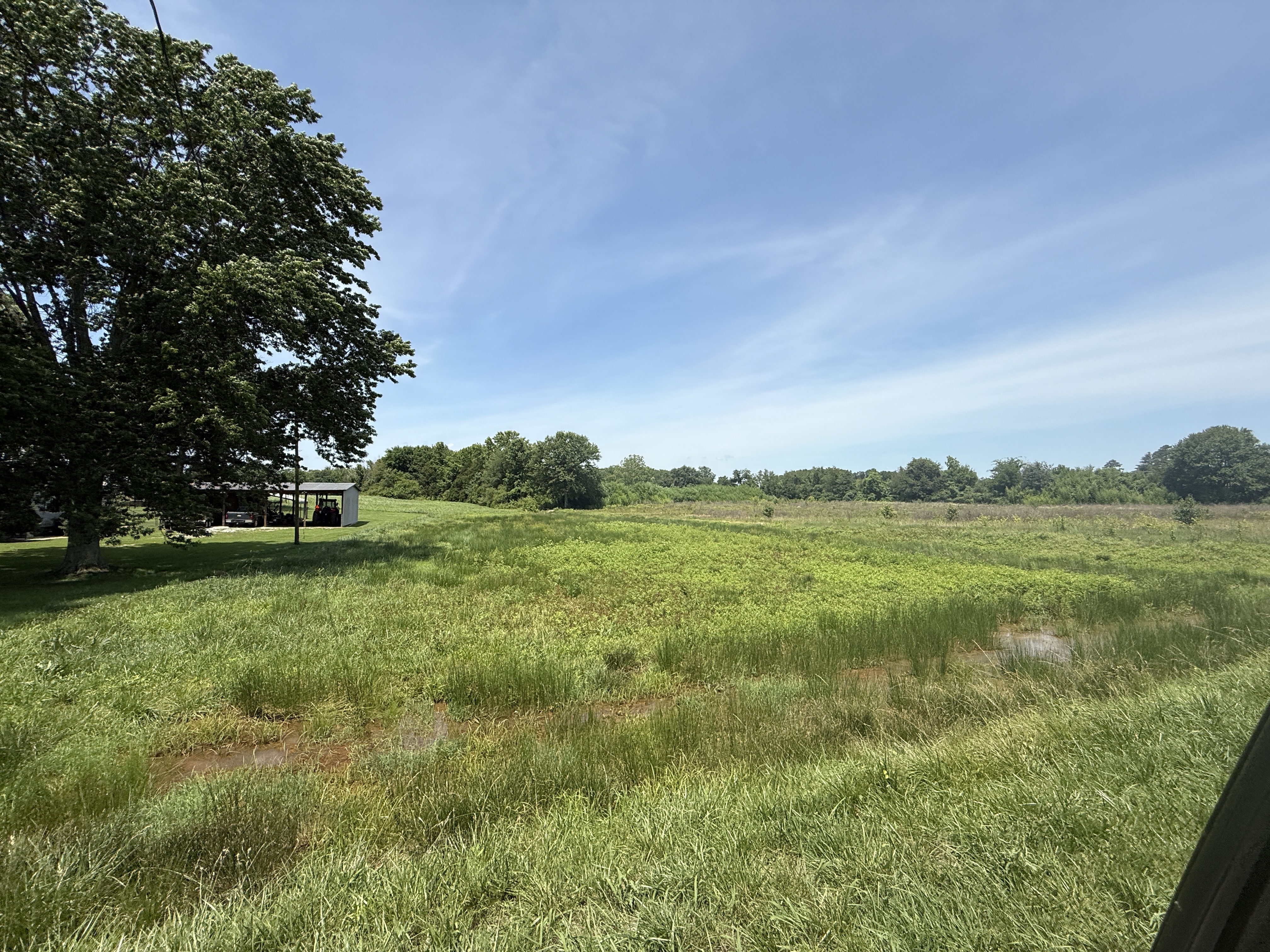 Prime 3.56 Acre +/- Estate Lot